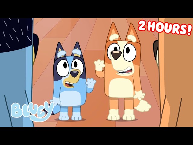 Bluey Seasons 1, 2, and 3 FULL EPISODES 💙 | Unicorse, Faceytalk, Pass the Parcel, and More! | Bluey