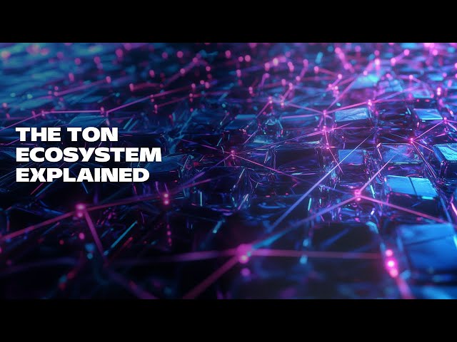 The TON Ecosystem Explained