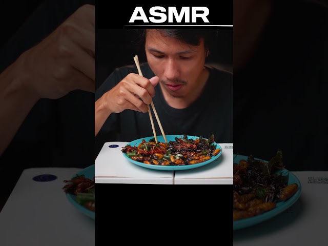 Fried insects ASMR #asmrsounds #asmreating #asmrvideo