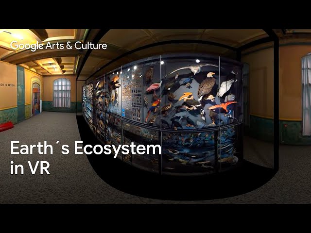 EARTH's ecosystems in 360 VR | Google Arts & Culture