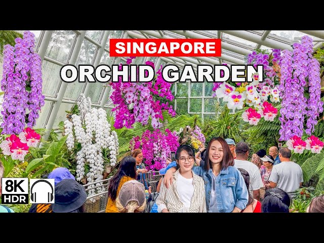 🇸🇬8K - National Orchid Garden Singapore | Most Beautiful Garden of Singapore 🌸🌷