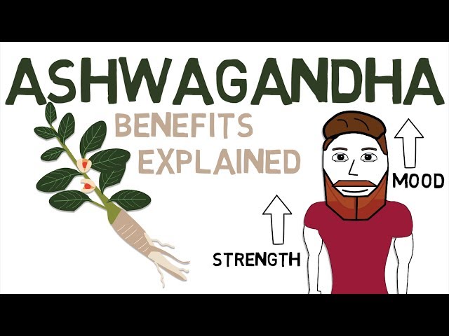 ASHWAGANDHA BENEFITS: What Ashwagandha Is And How It Works