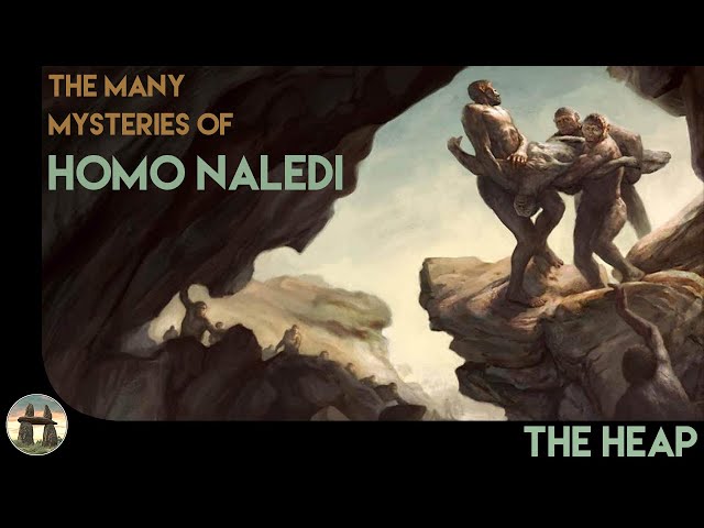 The Many Mysteries of Homo Naledi