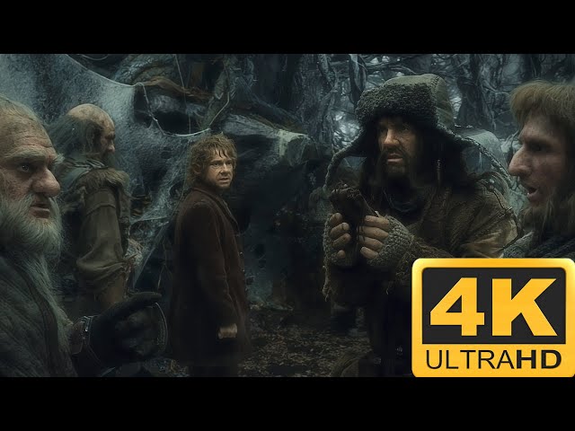 Mirkwood | The Hobbit - The Desolation of Smaug 4K HDR