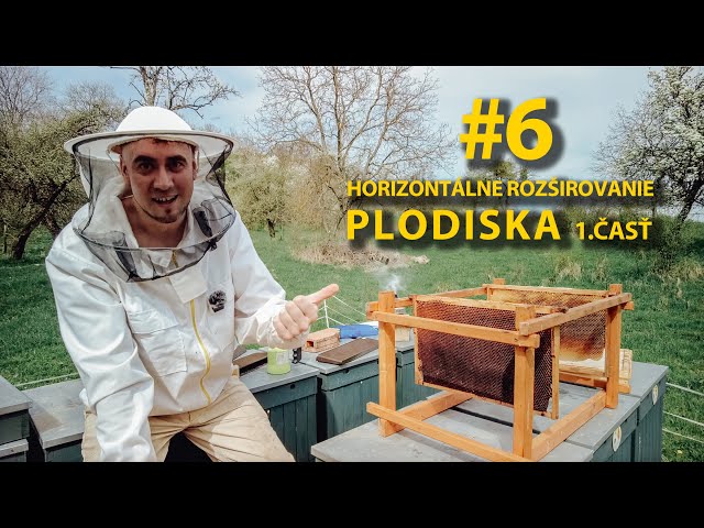 #6 Horizontálne rozširovanie plodiska, 1. časť