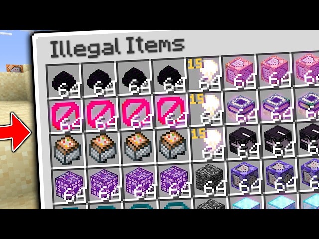 Here is Why I Joined The MostIllegal Team in This SMP