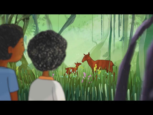 Community-based sustainable wildlife management (animated story) - #SWMProgramme