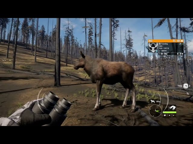 The hunter call of the wild best/funny moments