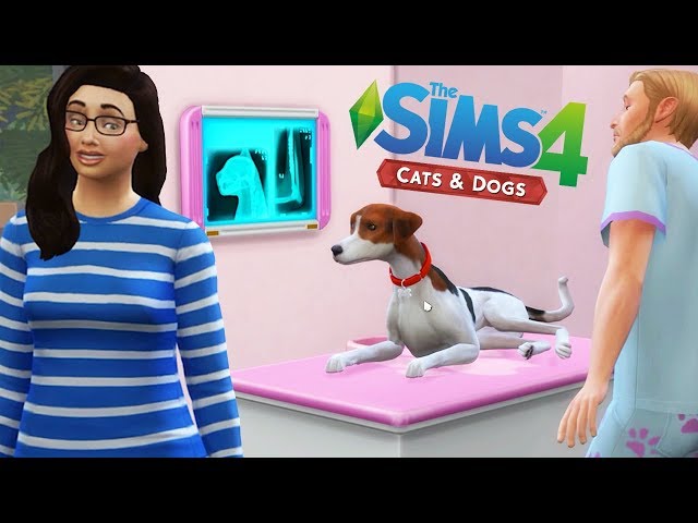 Disaster At The Vet! - StacyPlays The Sims Cats & Dogs (Ep.3)