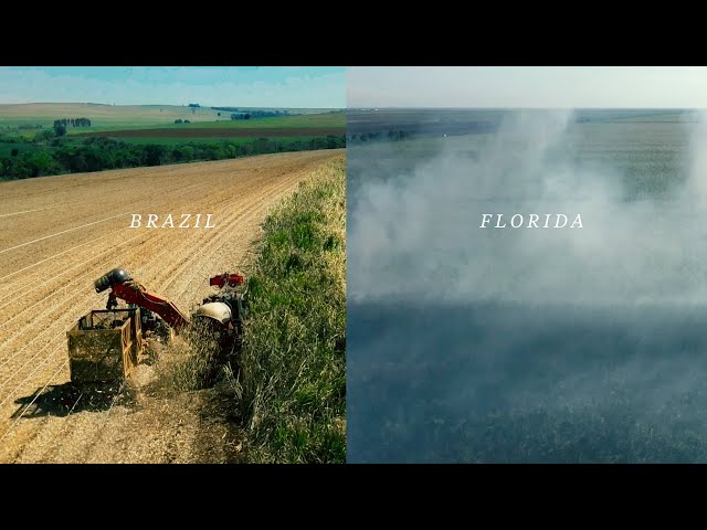 Brazil Shows You Can Harvest Sugar Cane Without Polluting the Air