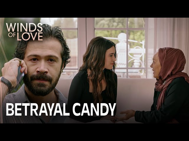 Birthday betrayal from Tekin to Zeynep | Winds of Love Episode 153 (MULTI SUB)