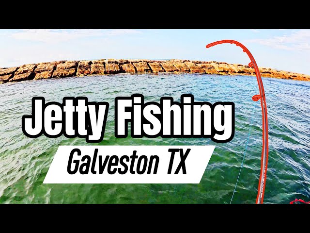 Casting For Giants at Galveston Jetty