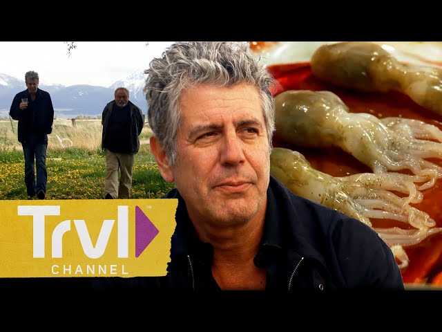 Anthony’s FAVORITE Episodes of All Time | Anthony Bourdain: No Reservations | Travel Channel