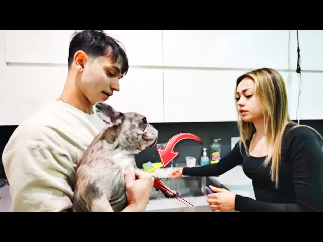 Lucas and Marcus | My Girlfriend Dog is Bleeding | Ivanita Lomeli