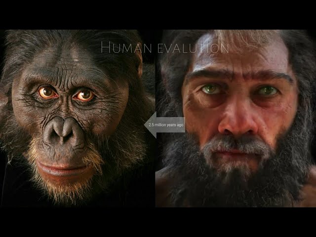 Human Evalution | Evolution from ape to man | මානව පරිණාමය  #HumanEvalution #ApeToMan