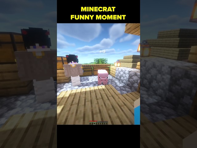 Minecraft Funny Moment #minecraftshorts #minecraft #shorts #minecraftmeme