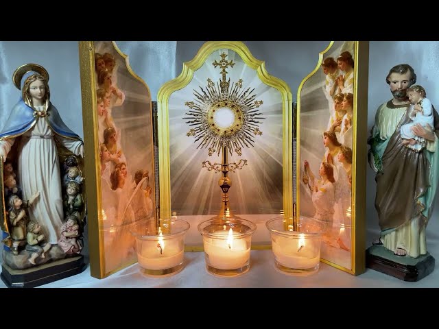 Rosary Family Holy Hour & Chaplet of Holy Face (the last 10 minutes)