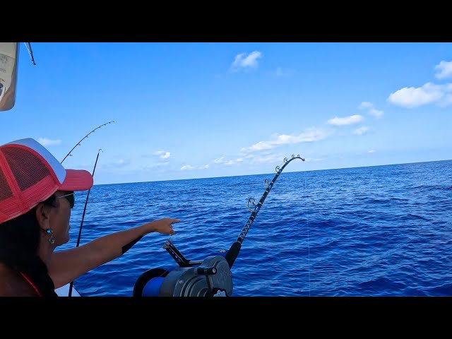 Mahi Mahi Chased by Shark! | Mahi Fishing | Florida Keys | Dolphin Fish Tacos | Offshore