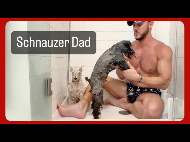 DAD LIFE | Showering up the Pups!