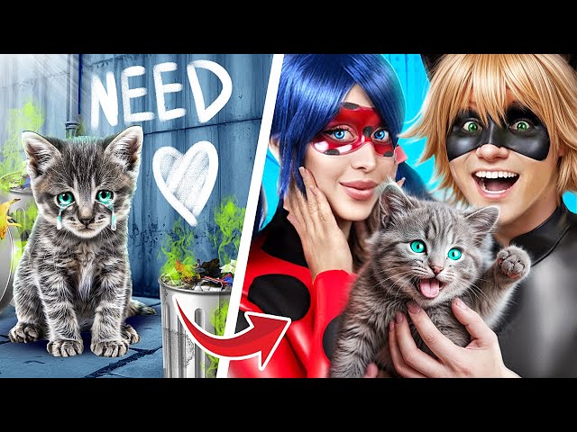 Cat Was Adopted by Ladybug! Secret Hacks for Pet Owners!