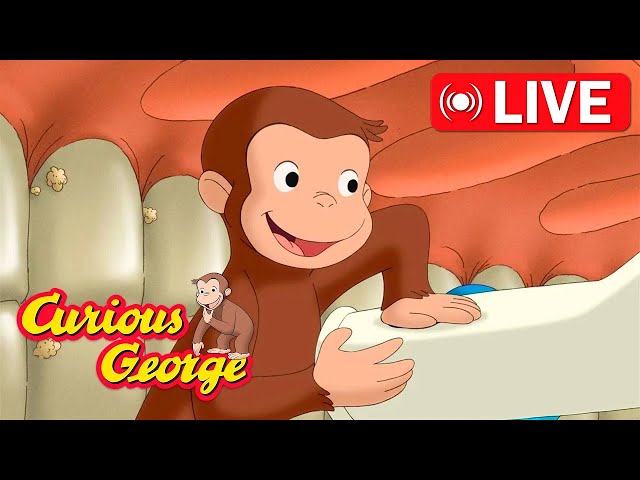 🔴 LIVE Curious George Full Episodes 🐵 Help George Clean his Teeth 🦷 Kids Cartoon 🐵 Kids Movies