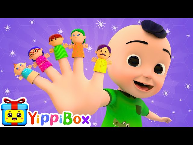 Finger Family 🖐️👨‍👩‍👦 | Daddy Finger | Family Song | YippiBox Nursery Rhymes, Cartoon and Baby Song