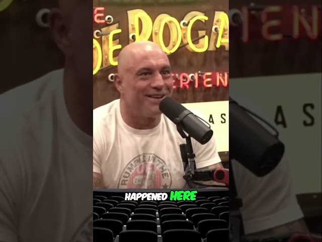 Inside Diddy's House: Memories and Laughs with Joe Rogan. #joerogan #podbytes #elonmusk #news