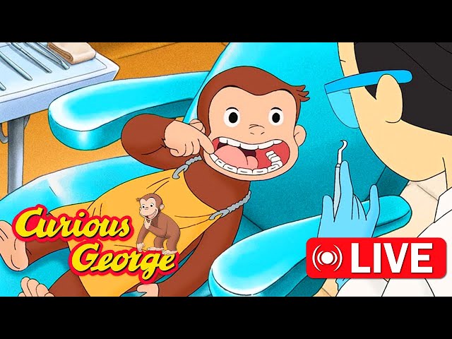 🔴 LIVE Curious George Full Episodes 🐵 George Learns to Brush His Teeth 🦷 Kids Cartoon 🐵 Kids Movies