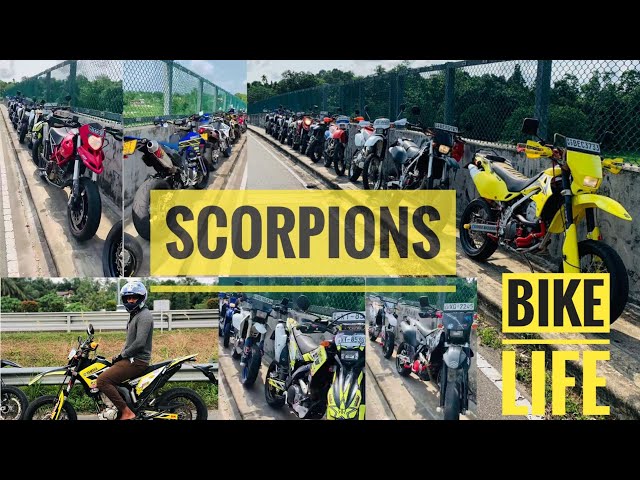 Team Scorpions Hokandara #Stuntriders#slstunt