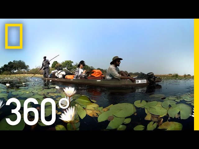 Visit the Okavango Delta in 360° | National Geographic