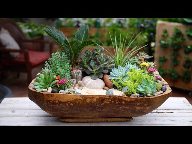 Antique Dough Bowl Turned Succulent Planter