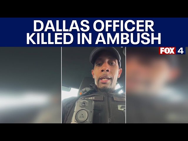 Dallas police shooting: Rookie officer killed in ambush-style attack