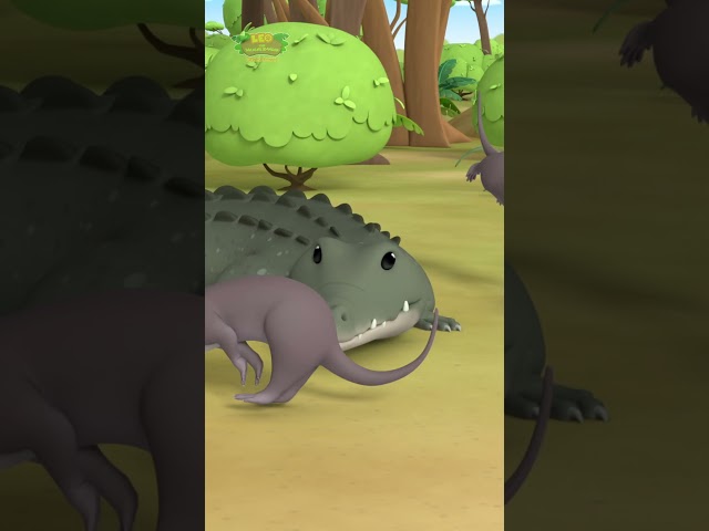 CROCODILE ATTACKING OTTERS! 🐊 | Leo the Wildlife Ranger | #shorts #education #kids