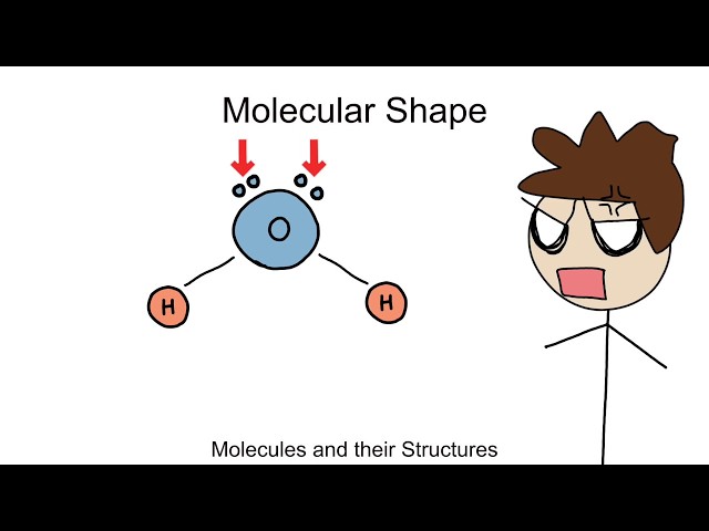 Molecules and Their Structures - BIOLOGY/CHEMISTRY Part 8