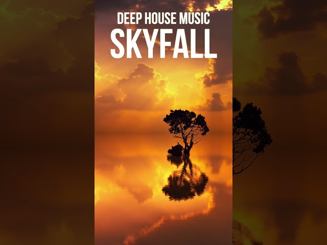 SKYFALL | Deep House and Chillout Music Mix for Work and Relax short #shorts