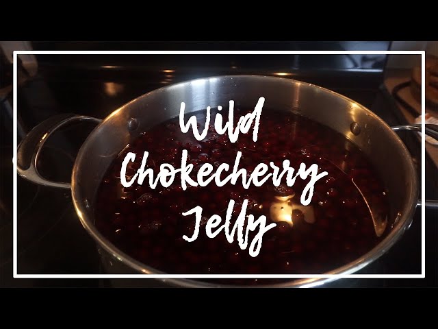 Wild Chokecherry Jelly