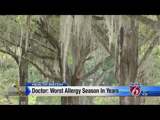 Doctors: Worst allergy season in years