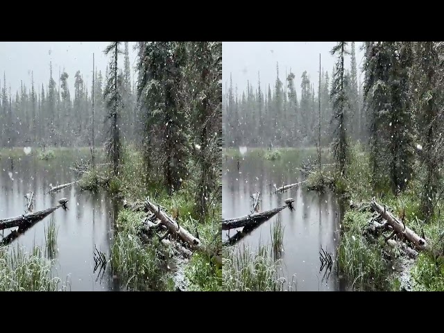 3D Stereo GlacierNational Park Snowing Aster Park