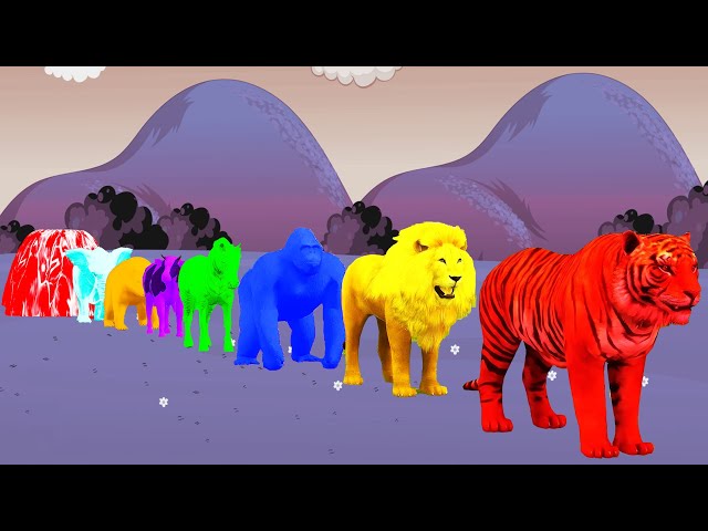 Paint Animals Lion Tiger Gorilla Cow Elephant Fountain Crossing Wild and Farm Animal Game