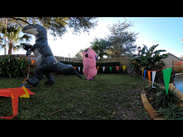 Double Knockout | Dinosaur vs. Unicorn Gender Reveal