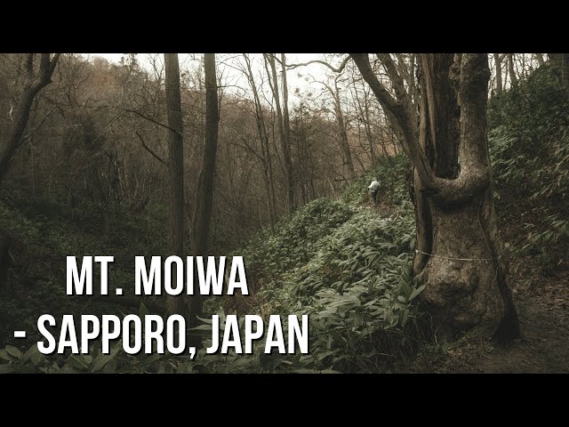 Mt. Moiwa, Sapporo, Japan (4K)｜Landscape Photography