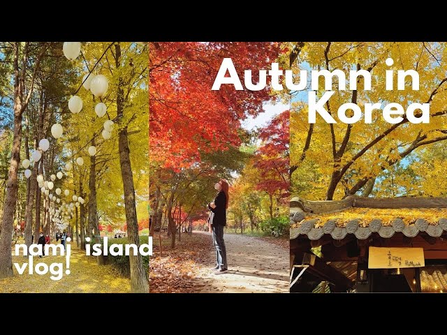 autumn outside of seoul 🐿️ a day on nami island and garden of morning calm in gapyeong, korea VLOG