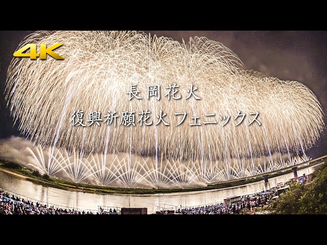 長岡花火 復興祈願フェニックス 2024 特別バージョン - Nagaoka Fireworks Phoenix Display Special Edition - (S5 + BRAW)