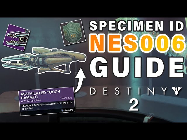 How to Complete Failsafe SPECIMEN ID: NES006 Complete Guide ► Destiny 2