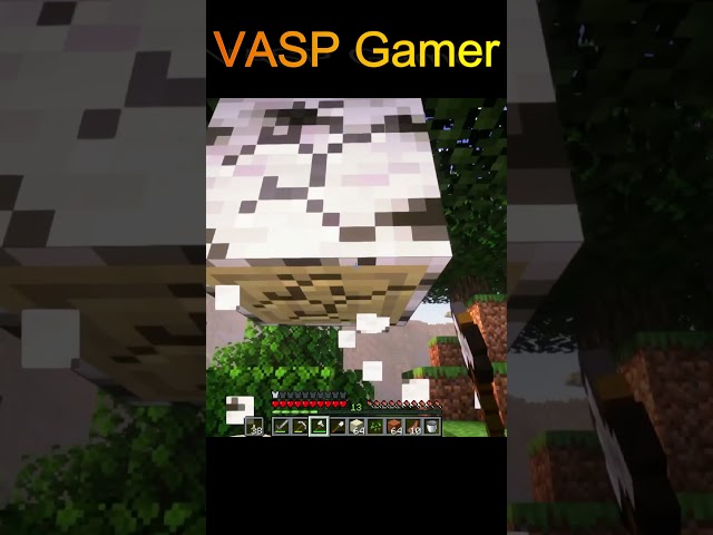 Minecraft || VASP Gamer #shorts #gaming #trending #viral #minecraft #vasp