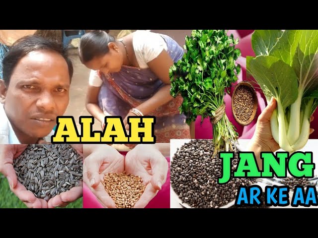 Alah Jang Le AR Ke Aa🥕/Sohray Parab 🔥/Kadu Marandi/New Santali Vlog Video 2024/@kadumarandi6372