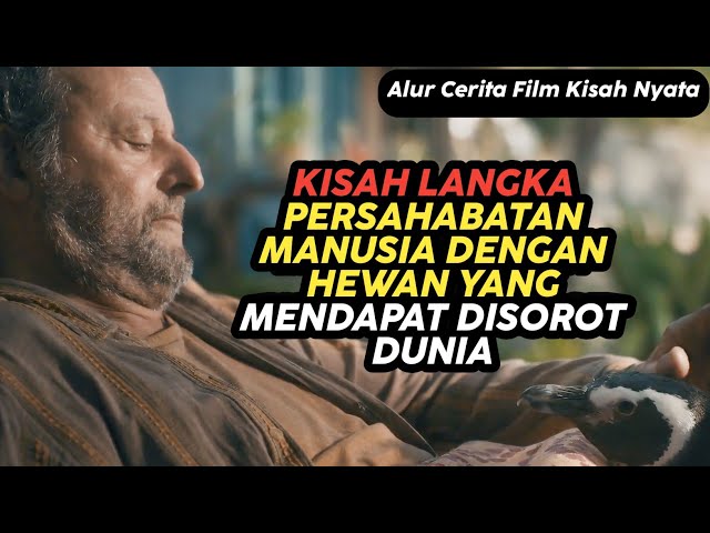 Kisah Nyata ! Persahabatan Manusia Dengan Hewan Yang Menjadi Sorotan Dunia, Alur Cerita Film Terbaru