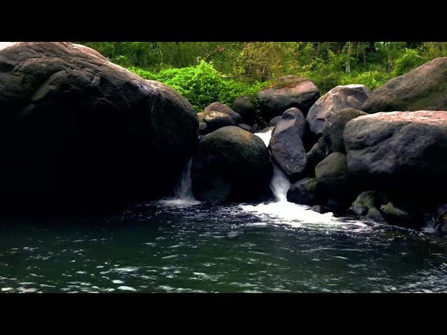 Asmr relaxing river sound Waterfall sounds for sleeping nature water sounds for deep sleep