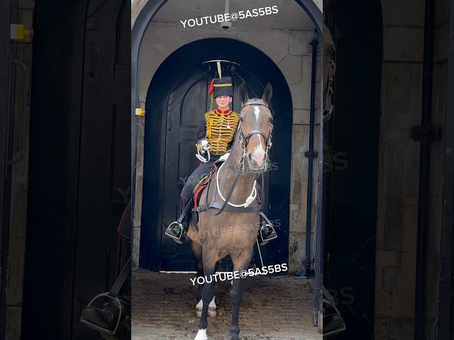 King's Guard's Priceless Reaction to Seeing Parents in Crowd. Epic Moments Horse Guards