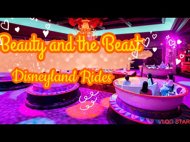 Beauty and the Beast Ride at Tokyo Disneyland | Full Experience